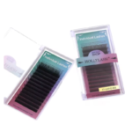 HOLLYLASH YY formos blakstienos